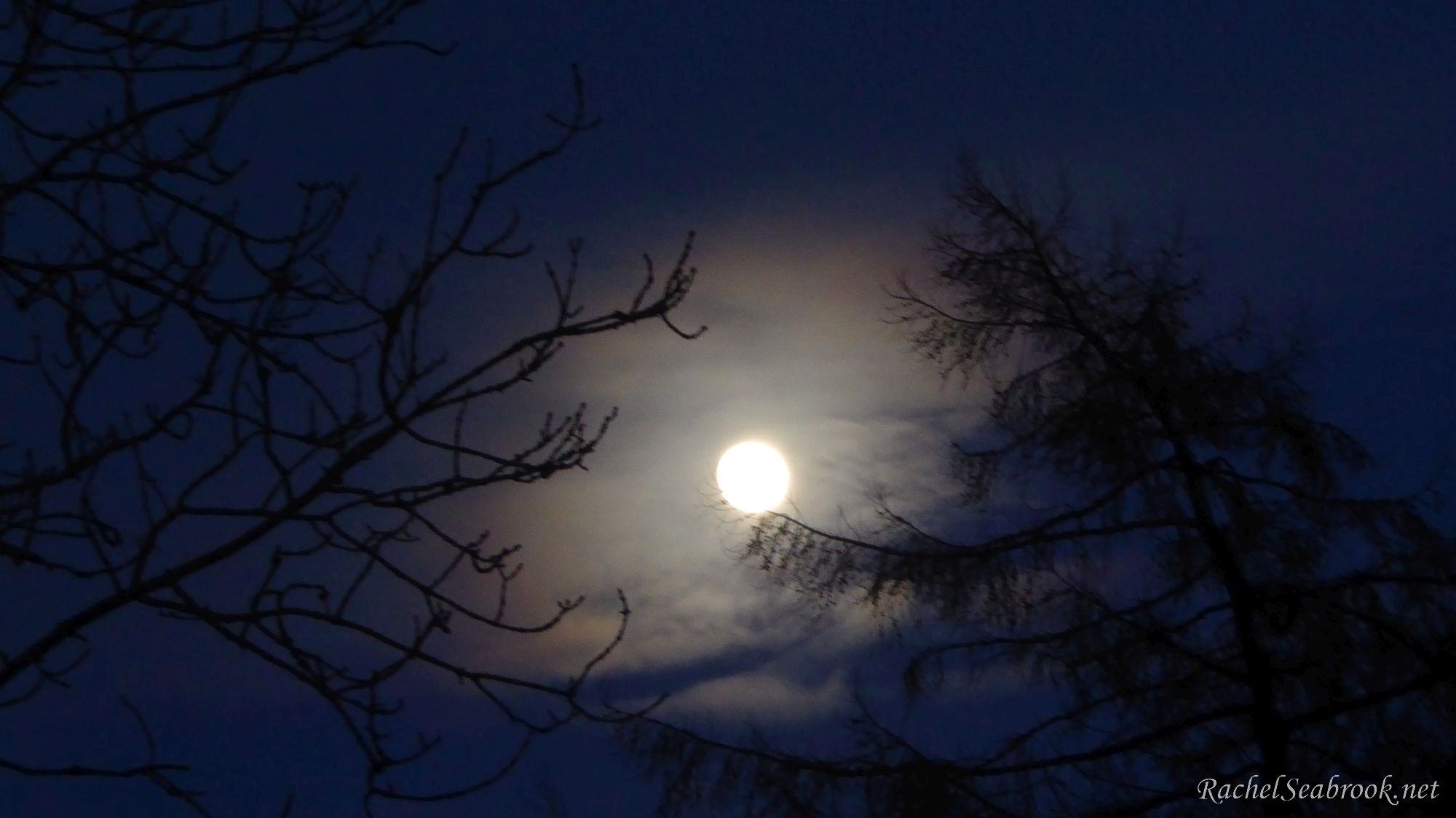 full moon